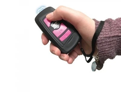 Key Taser Disguise Key Fob Mini Taser & Personal Alarm